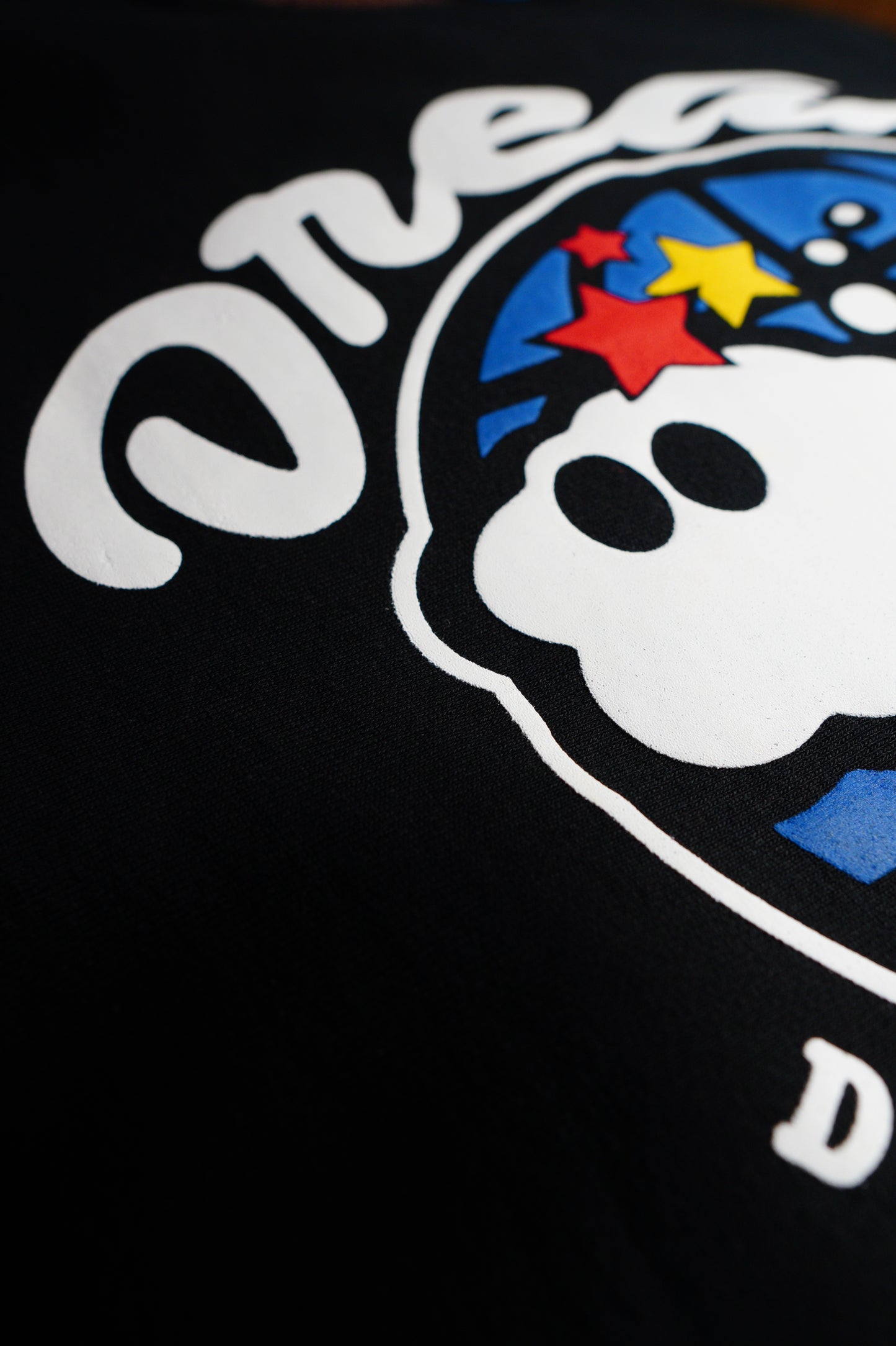 Heavy Duty “DSH Transport Crewneck”